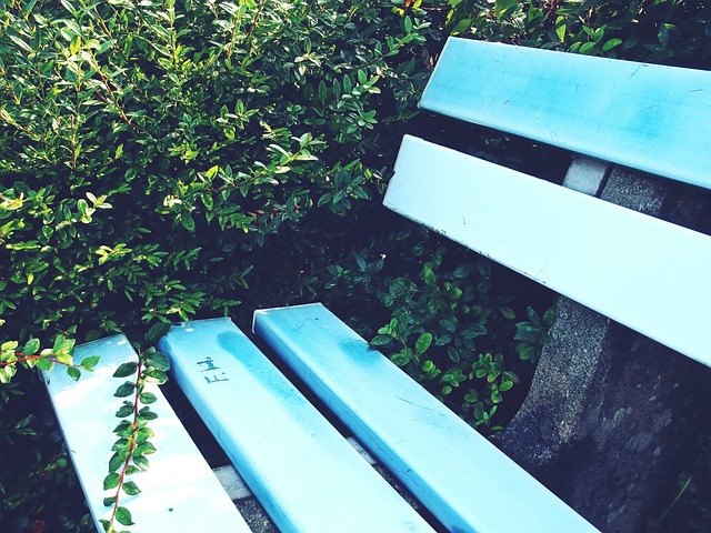 量的锻炼 量的锻炼