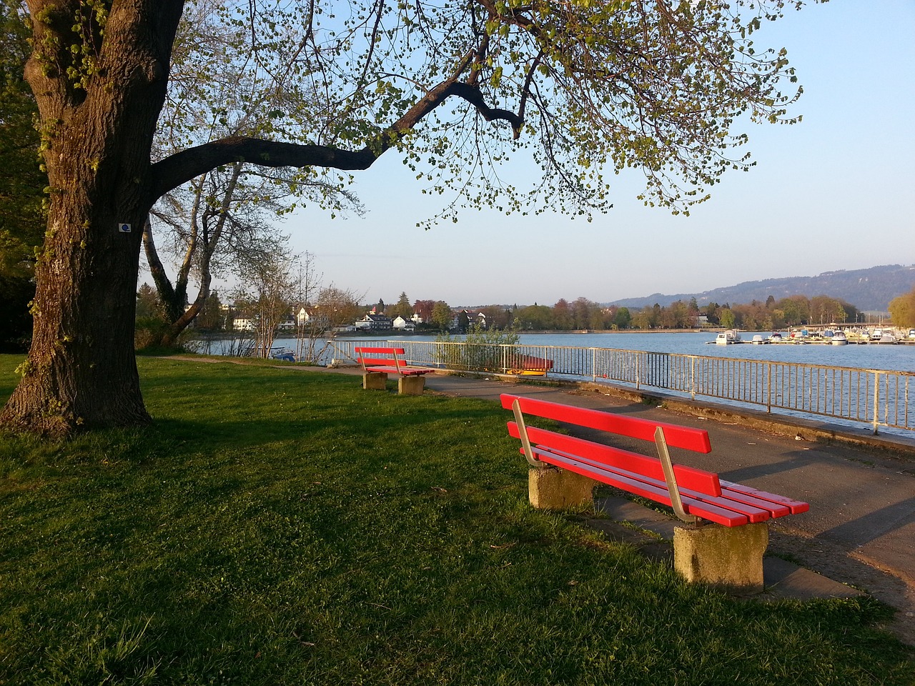 灰熊队球员莫兰特面对主帅詹金斯解雇表现出不易.